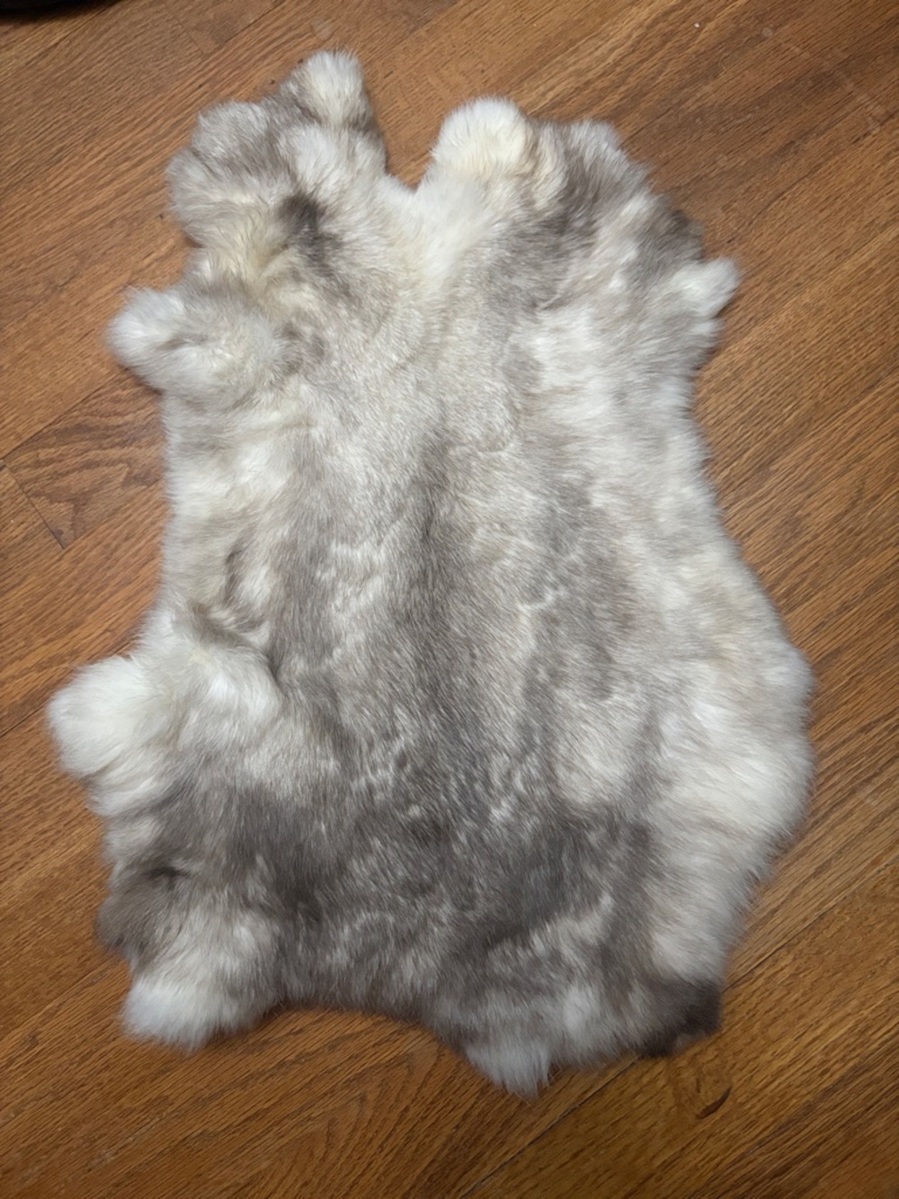 0869 rabbit fur pelt